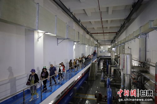 中新網(wǎng) 甘肅新聞